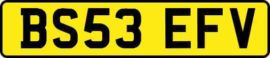 BS53EFV