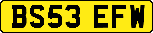 BS53EFW