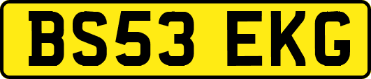 BS53EKG