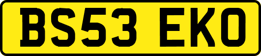 BS53EKO