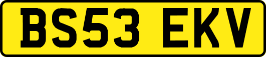 BS53EKV