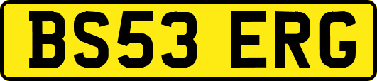 BS53ERG