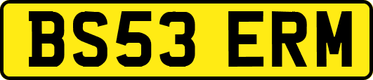 BS53ERM