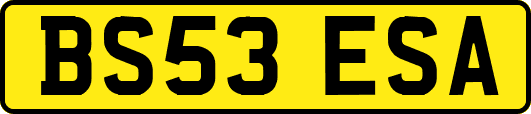 BS53ESA