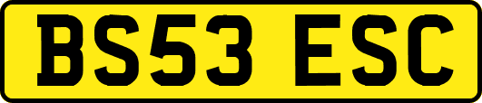 BS53ESC