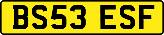 BS53ESF
