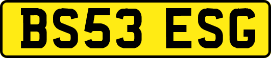 BS53ESG