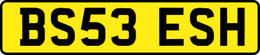 BS53ESH