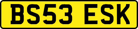 BS53ESK