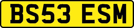 BS53ESM
