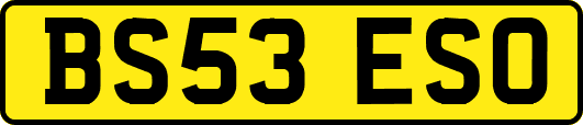 BS53ESO