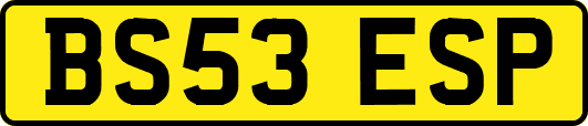 BS53ESP