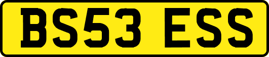 BS53ESS