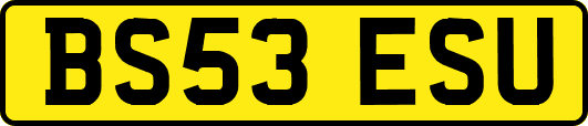 BS53ESU