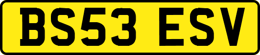 BS53ESV