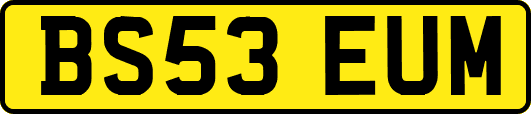 BS53EUM