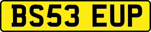 BS53EUP