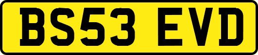 BS53EVD
