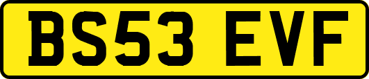 BS53EVF