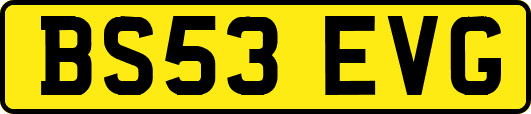 BS53EVG
