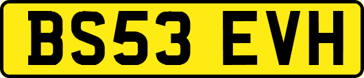 BS53EVH