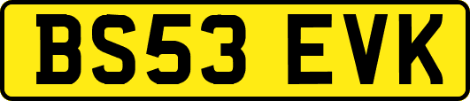 BS53EVK