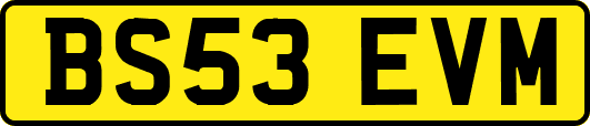 BS53EVM