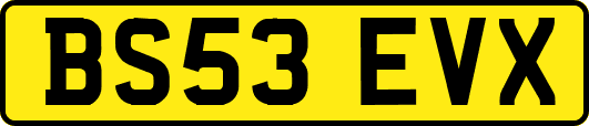 BS53EVX