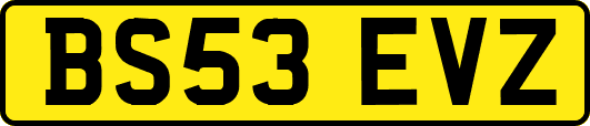 BS53EVZ
