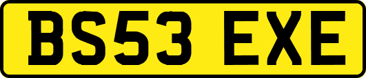 BS53EXE