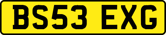 BS53EXG
