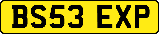 BS53EXP