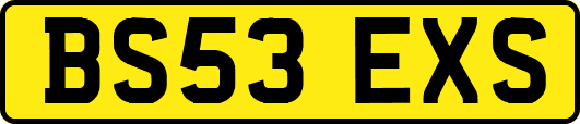 BS53EXS