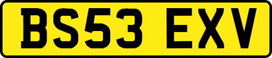 BS53EXV