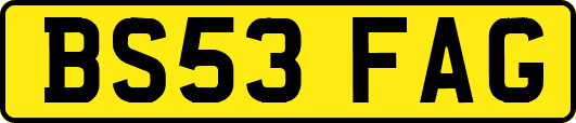 BS53FAG