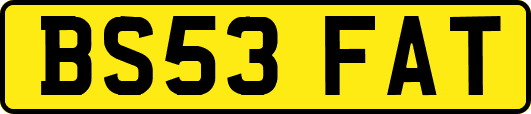 BS53FAT
