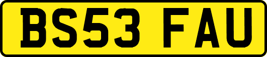 BS53FAU