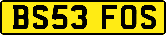 BS53FOS
