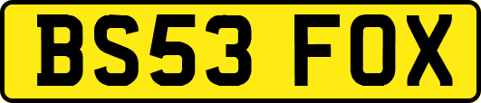 BS53FOX
