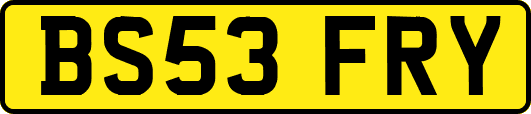BS53FRY