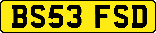 BS53FSD