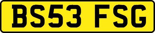 BS53FSG