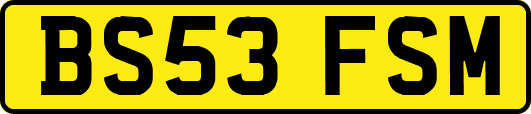 BS53FSM