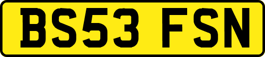 BS53FSN