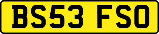 BS53FSO