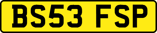 BS53FSP