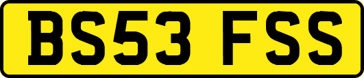 BS53FSS