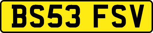 BS53FSV
