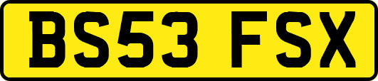 BS53FSX