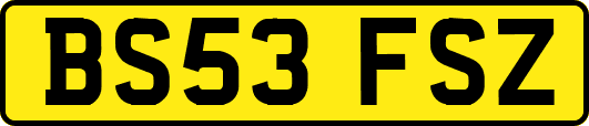 BS53FSZ